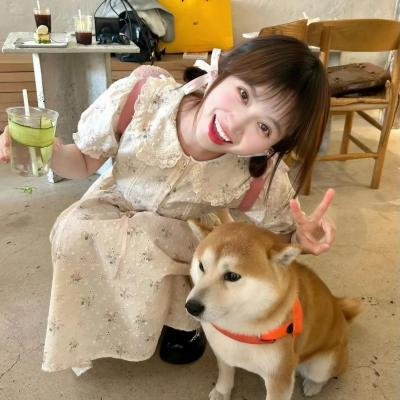 仙侣奇遇